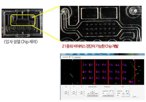 입자 정렬 칩의 실물 사진