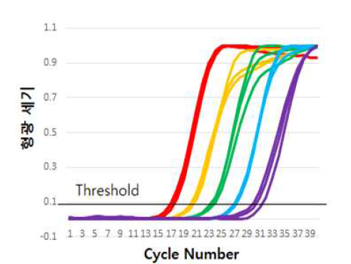 표준시료에서의 검출 감도 한계 확보(~100copies/rxn)