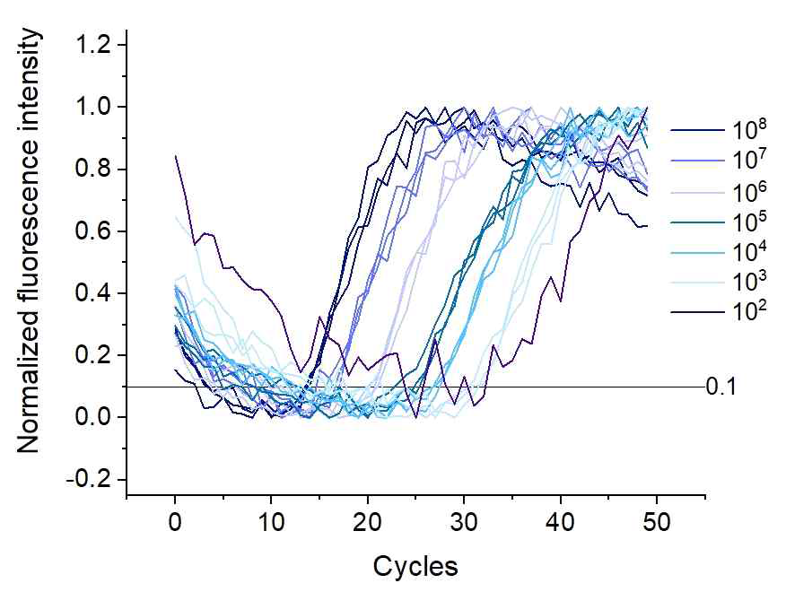 DISK tPIN 입자의 qPCR 효율 (10^2 copies/ul)