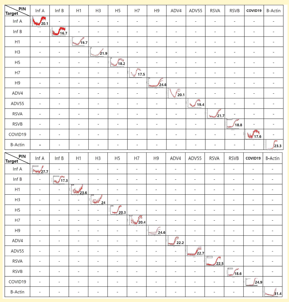 Multiplex qPCR(위) / RT-qPCR(아래) 데이터 13종의 타겟에 대해 표준시료를 이용하여 비특이 신호 없이 Multiplex RT-qPCR 완료