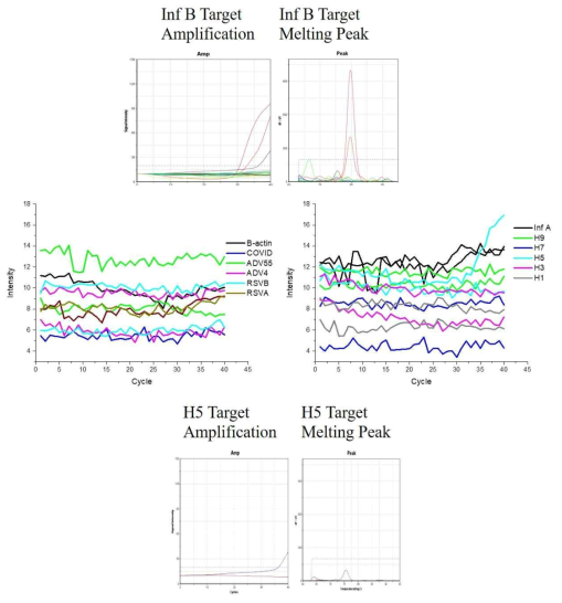 Influenza B 임상시료를 이용한 PCR 데이터 및 다른 입자의 PCR 경향 및 비특이 신호/Melting peak