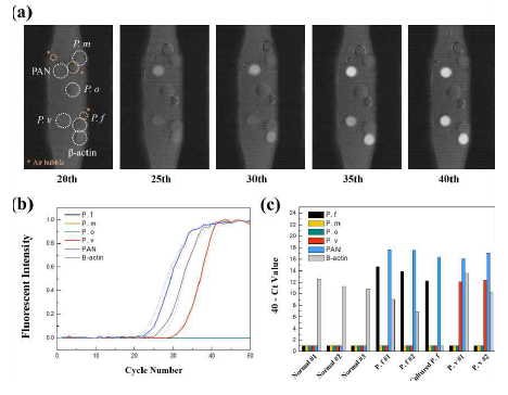 Multiplex qPCR for detecting Malaria by sPIN