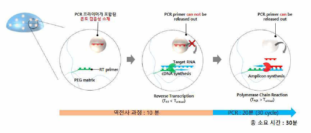 온도 감응성 소재를 이용한 one-sstep RT-qPCR 반응 모식도