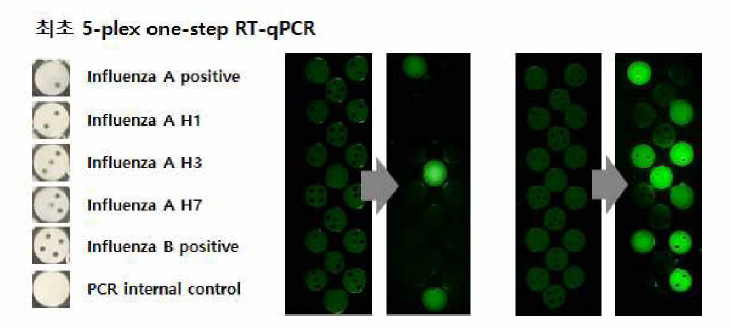 인플루엔자 A H3형 시료 분석 시，positive control인 Inf. A 와 H3만 PCR 반응이 진행되면서 신호를 뚜렷이 보이며 단일단계 어세이로 아형까지 30분 내에 판정