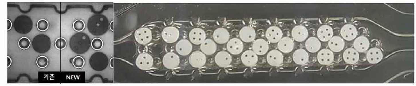 Through hole code DISK 입자 array / Multiplex를 위한 20종 DISK 입자 array