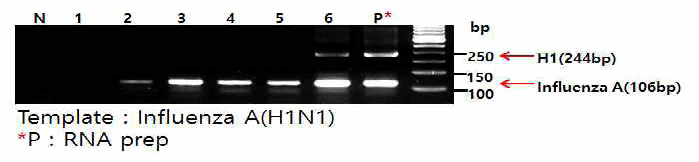Direct PCR. 1. Bioapps kit, 2. K-Mac buffer, 3. Ezway Direct PCR, 4. Phusion Direct PCR buffer, 5. Nanohelix direct RT-PCR, 6. Terra PCR direct buffer
