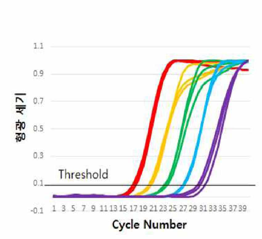 표준시료에서의 검출 갑도 한계 확보(~100copies/rxn)