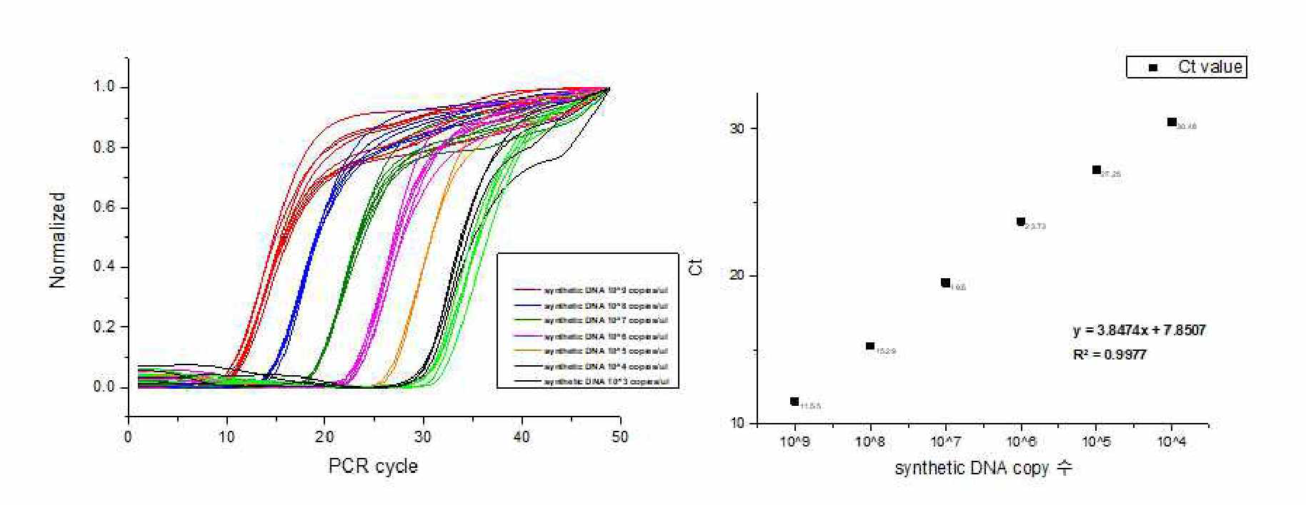 DISK 입자의 qPCR 효율과 최소검출량 측정