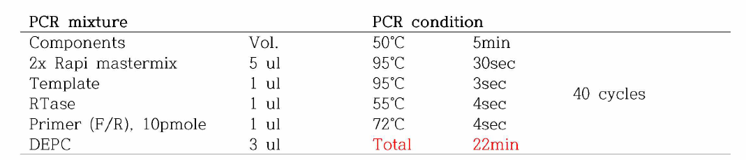 용액에서 RNA PCR 조성물 및 조건