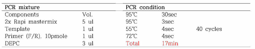 용액에서 DNA PCR 조성물 및 조건