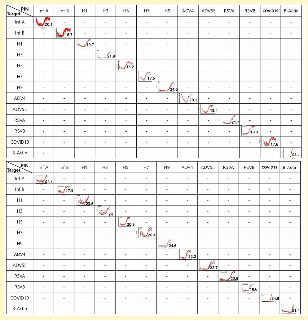 Multiplex qPCR(위) / RT-qPCR(아래) 데이터 13종의 타겟에 대해 표준시료를 이용하여 비특이 신호 없이 Multiplex RT-qPCR 완료