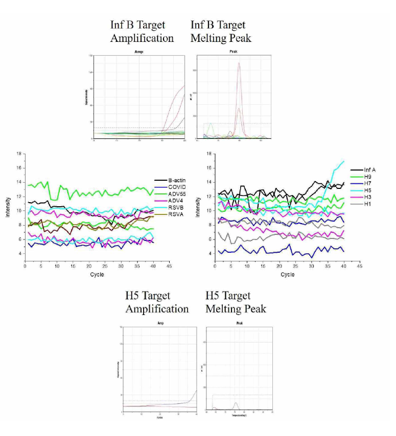 Influenza B 임상시료를 이용한 PCR 데이터 및 다른 입자의 PCR 경향 및 비특이 신호/Melting peak