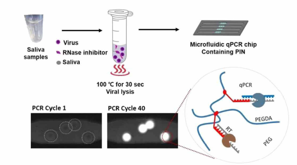 타액 Matrix 내 바이러스 검출 평가를 위한 모식도
