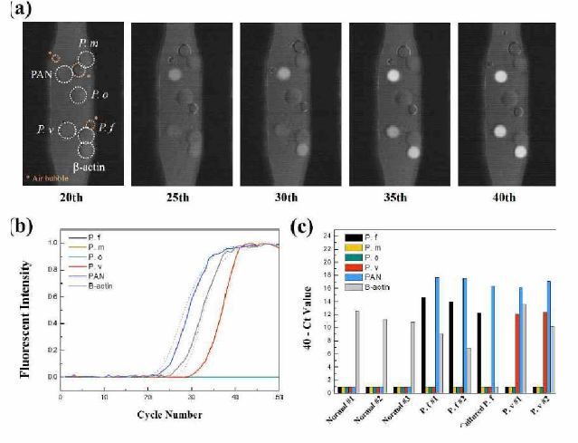 Multiplex qPCR for detecting Malaria by sPIN