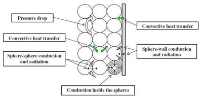 The transport phenomena in the packed bed