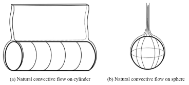 Formation of natural convection flow on cylinder and sphere