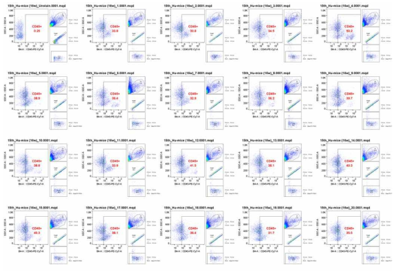 인간화 마우스 제작 16주 후 마우스 혈액에서의 인간 CD45 발현 분석 (2차 제작)