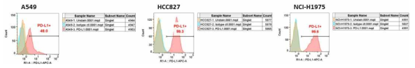 비소세포폐암 세포주 (A549, HCC827, NCI-H1975)에서의 PD-L1 발현