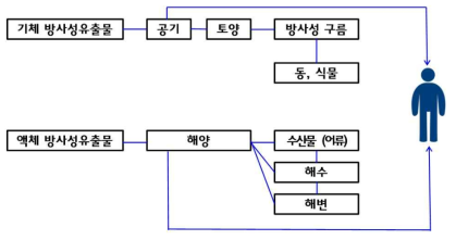 기체 및 액체 방사성유출물 이동경로