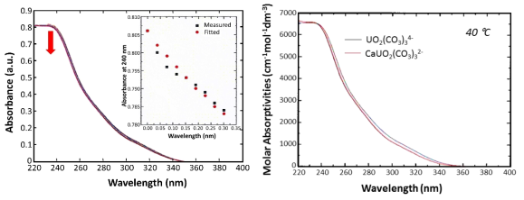40℃에서의 UV/Vis 흡수분광법을 활용한 Ca-UO2-CO3 화학종의 정량분석(왼쪽)과 회귀분석을 통해 얻은 40℃에서의 UO2(CO3)3 4-와 CaUO2(CO3)3 2-의 몰 흡광계수(오른쪽)