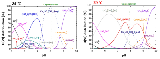 25 ℃와 70 ℃에서의 우라늄화학종 분포도.([U(VI)]=1μM, [Ca2+]=1mM, 이온세기 0M 조건)