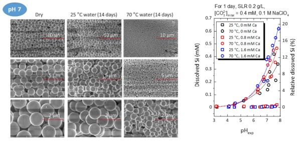 25℃와 70℃에서 pH와 Ca 농도에 따른 SiO2 용해 경향
