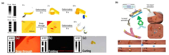 (a) 패턴 마스크에 따른 거동 패터닝 실험 사진, (b) 손의 체온에 의해 반응하는 광반응-패터닝 구조체 (바이오 액츄에이터)