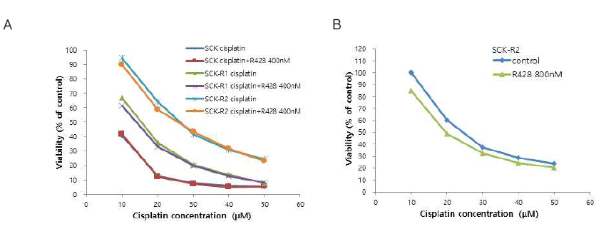 (A) R428(400 nM) 처리 유무에 따른 SCK-R1, SCK-R2 세포의 시스플라틴 반응성 분석 결과. (B) R428(800 nM) 처리 유무에 따른 SCK-R2 세포의 시스플라틴 반응성 분석 결과
