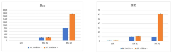 AXL 억제제 R428을 처리 후, SCK, SCK-R1, SCK-R2 세포에서 AXL, ZEB2, L1CAM, SLUG의 Realtime-PCR 분석 결과