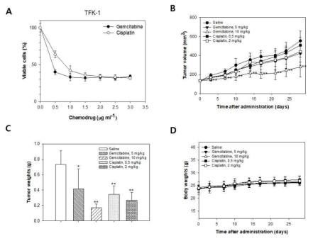 간외 담도암(TFK-1) 세포의 gemcitabine 또는 cisplatin에 대한 in vitro (A) 및 in vivo (B-D) 반응 분석 결과. (B) tumor volume. (C) tumor weight. (D) body weight
