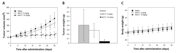 간외 담도암(TFK-1) 모델에서의 L1CAM 항체의 암 성장 억제효능 분석 결과. (A) tumor volume. (B) tumor weight. (C) body weight