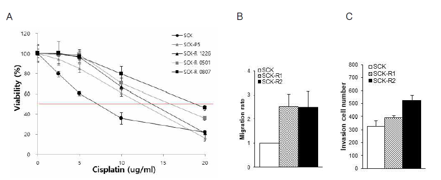 (A) SCK로부터 분리된 cisplatin 내성 세포주들(SCK-R)의 cisplatin에 대한 IC50. SCK-R 1226을 SCK-R1로, SCK-R 0807을 SCK-R2로 표기함.(B) SCK, SCK-R1, SCK-R2 세포의 migration 활성 분석. (C) SCK, SCK-R1, SCK-R2 세포의 invasion 활성 분석