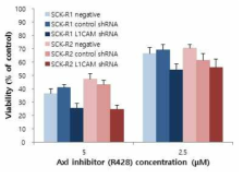 L1CAM 발현이 억제된 SCK-R1, SCK-R2 세포 또는 control 세포에 R428(2.5, 5.0 μM)의 투여 후 세포 성장 분석 결과