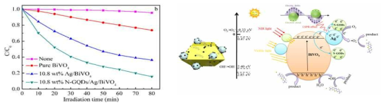 순수한 BiVO4, Ag/BiVO4, N-GQD 코팅 Ag/BiVO4 시료의 광촉매 제거 효율 및 광촉매 반응 메커니즘
