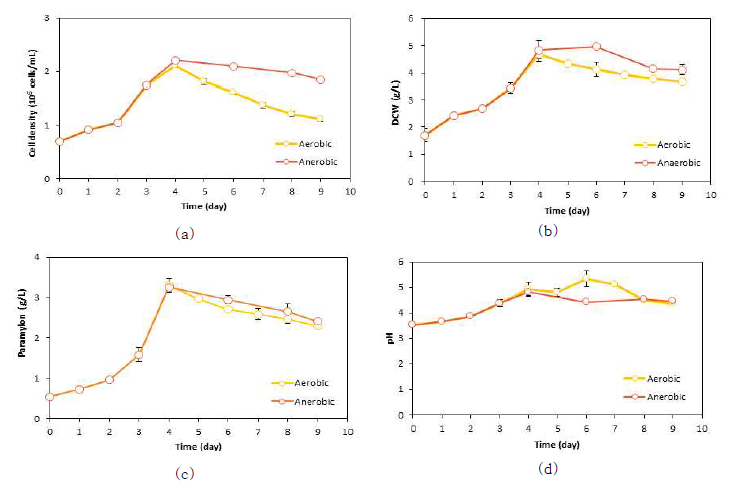 종속영양조건 배양 시 호기-혐기 전환조건에 따른 (a)세포 성장, (b)바이오매스 생산량, (c)파라밀론 생산량 및 (d)pH 변화