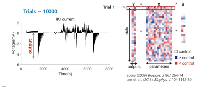 (왼쪽) IKr 채널의 population model simulation (b) IKr 채널 파라미터 민감도 결과를 행력과 벡터로 나타냄