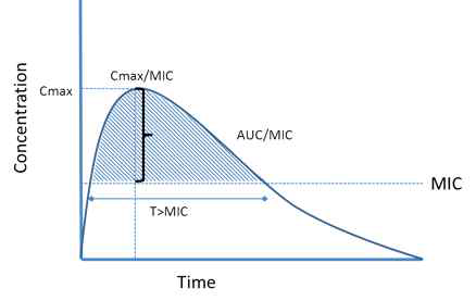 Ratios to the MIC organisms 출처 http://www.effectivehealthcare.ahrq.gov / (July 19, 2013)