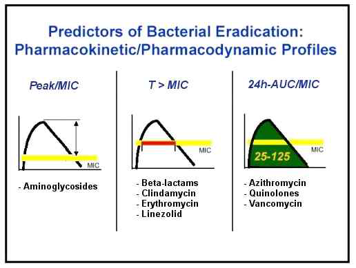 Predictors of Bacterial Eradiation 출처 http://www.rxkinetics.com/ antibiotic_pk_pd.html