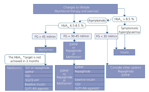 제2형 당뇨병에서의 치료 알고리즘 출처: Consensus document on treatment of type 2 diabetes in patients with chronic kidney disease