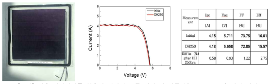 상용 태양전지를 활용한 대면적 모듈 제작 및 내구성(D.H. 250hrs) 평가 결과