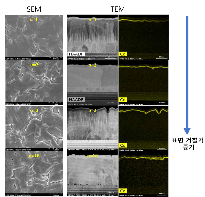 Cu2-xSe 액상량 제어를 위한 α값 조정에 따른 CIGS 표면 SEM과 단면 TEM 그리고 EDS Cd 원소 mapping 이미지