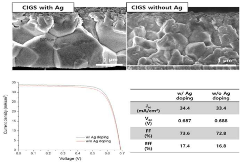 Ag 도핑에 따른 CIGS 박막 수직단면 SEM 사진 비교 (상), J-V curve 및 소자 성능 비교 (하)