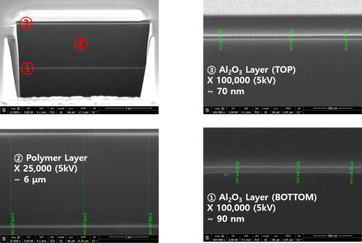 Polymer가 적용된 유/무기 다중 수분차단층 시료의 FIB-SEM 측정 결과