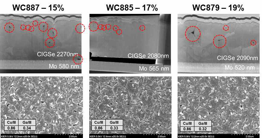WC887, WC885, WC879 샘플의 TEM image