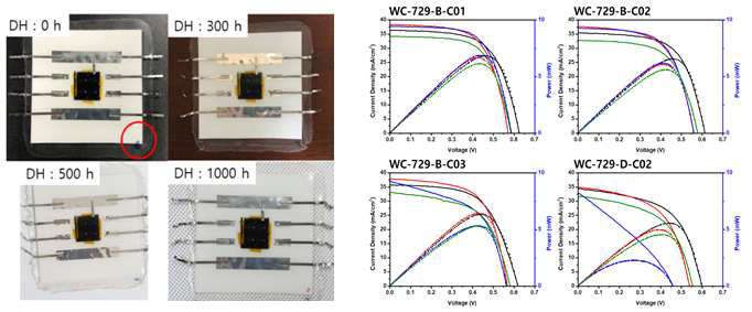 DH test가 진행된 시료 사진 및 서브-모듈의 I-V 특성 결과