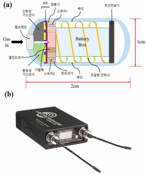 장 내의 가스 농도 측정용 삼킬 수 있는 캡슐형 가스센서 세트의 내부 구조 (b) 무선 수 신기 세트의 외관