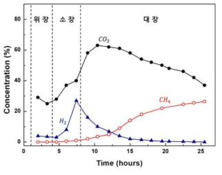 시간의 경과에 따른 돼지 장 내에서의 주요 H2, CO2, CH4 가스의 농도