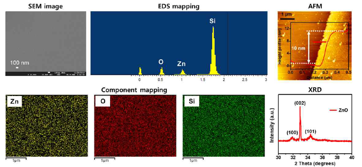 ALD 기반 ZnO 반도체 박막 SEM, EDS, AFM 및 XRD 측정을 통한 물성 분석