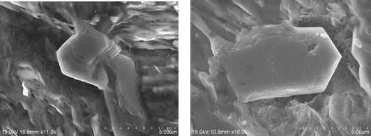 Symmetric cell 진행 후 Zn metal 표면 SEM 분석