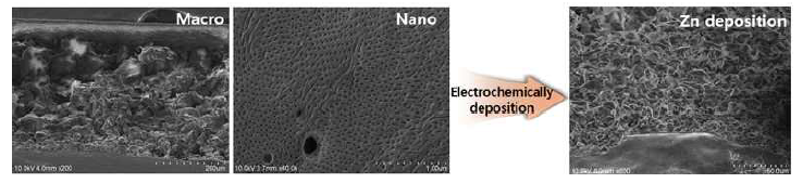 계층적 구조를 가진 카본 나노구조체의 Zn 증착 SEM 이미지